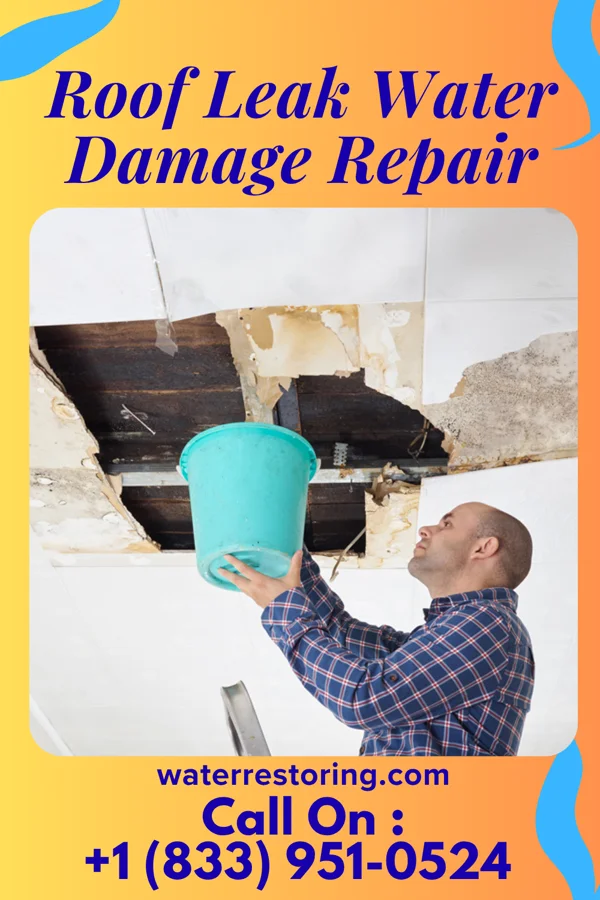 Roof Leak Water Damage Repair in Caddo Valley, AR